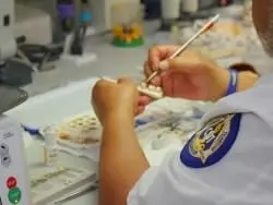 Zirconia Dental Crown